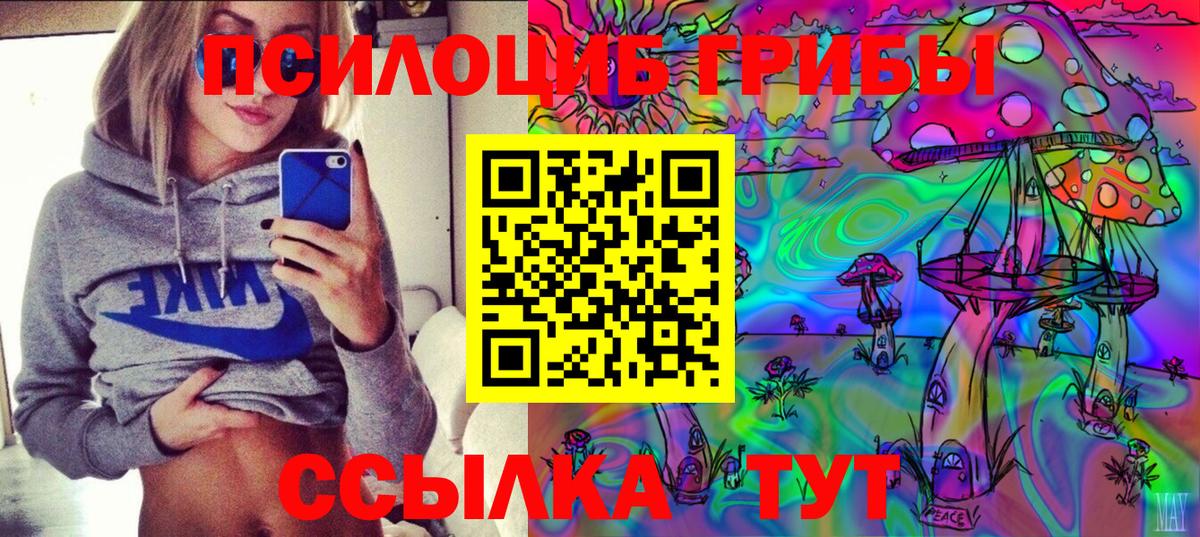 Псилоцибиновые грибы мицелий Ярцево